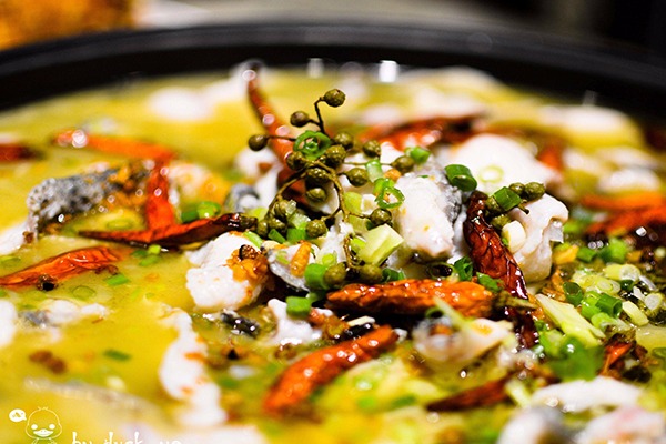 魚肚白紫錐火鍋