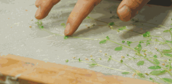 時光印記活字印刷