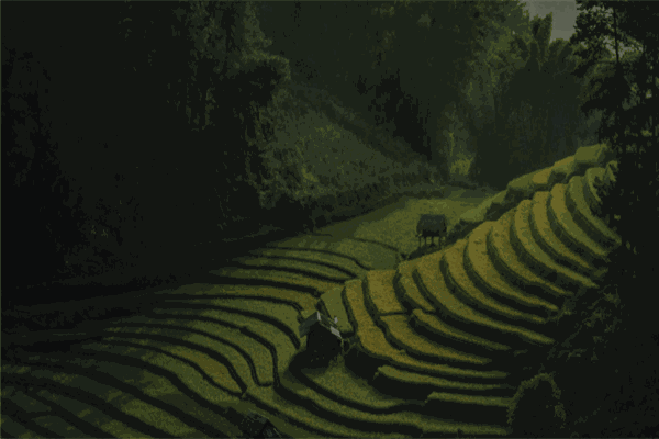 張大學(xué)士牛肉湯