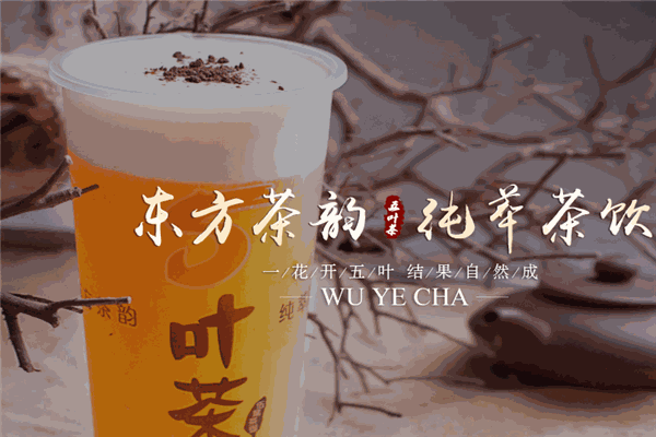五葉茶奶茶