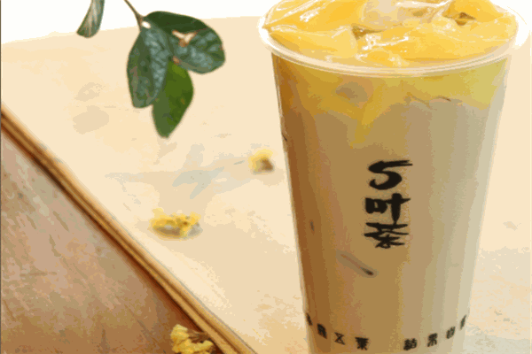 五葉茶奶茶