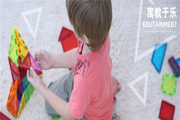 菠蘿樹益智玩具體驗館