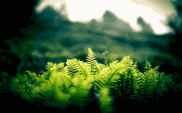 朵嘉濃護(hù)膚品