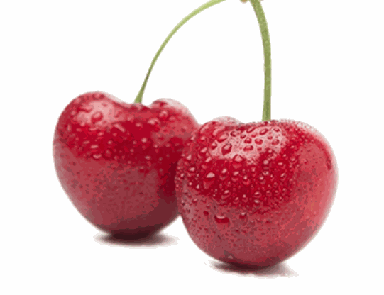 小熊樂團(tuán)購(gòu)