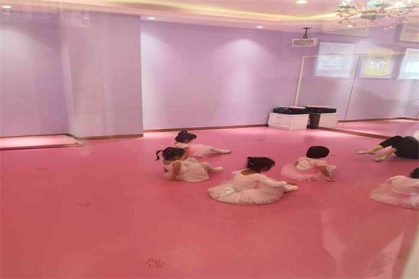 芭芭拉國際舞蹈