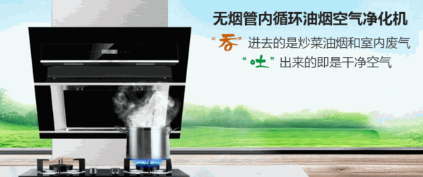 多環(huán)油煙凈化器