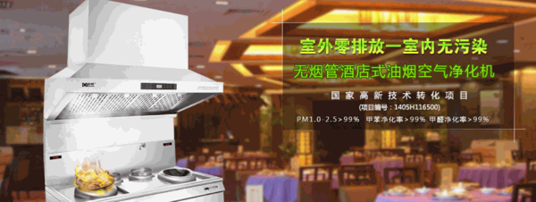 多環(huán)油煙凈化器