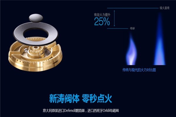 藍(lán)炬星集成灶