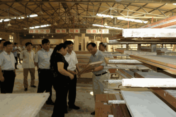 博士龍兒童學(xué)習(xí)桌