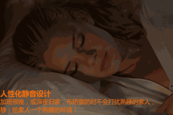 KAIPULE凱普樂智能安防家居