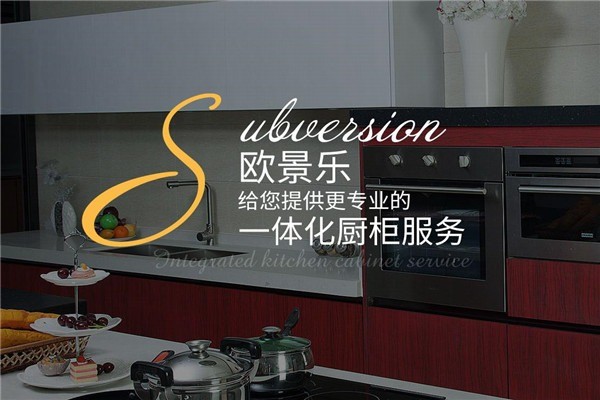 歐景樂(lè)不銹鋼櫥柜