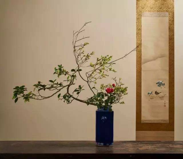 禪韻藝術(shù)表演培訓(xùn)