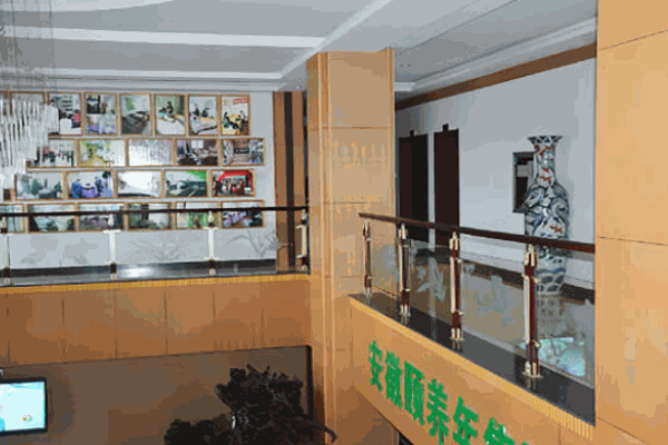 頤養(yǎng)年養(yǎng)生館