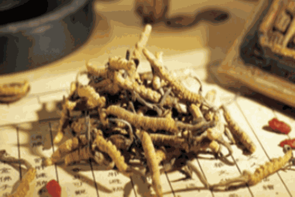 頤養(yǎng)年養(yǎng)生館