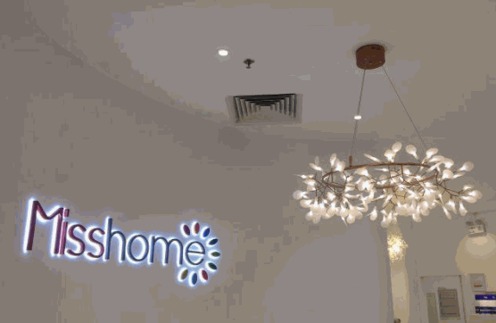 misshome皮膚管理