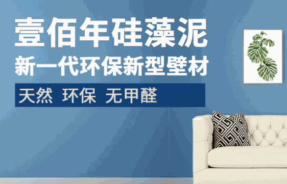 壹佰年硅藻泥