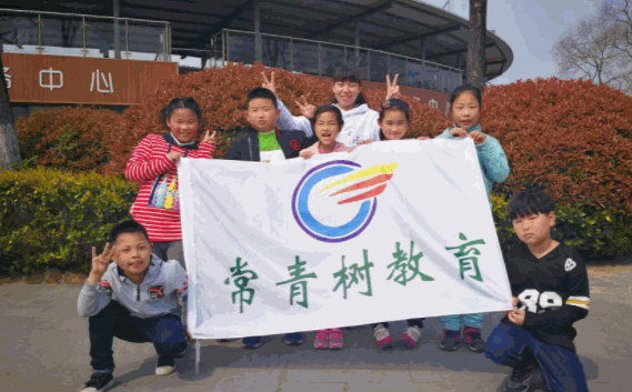 常青樹教育