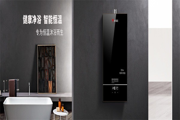 小霸王廚衛(wèi)電器