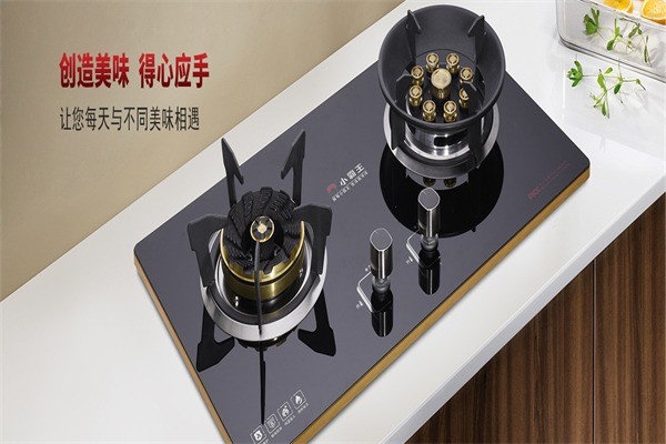 小霸王廚衛(wèi)電器