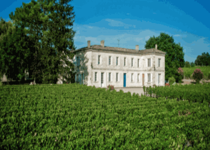 法國(guó)之光葡萄酒