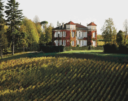 法國(guó)之光葡萄酒