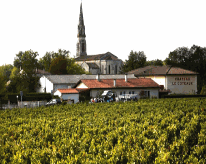 法國(guó)之光葡萄酒