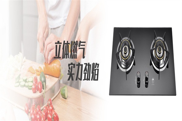 旺夫人廚衛(wèi)電器