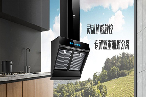 旺夫人廚衛(wèi)電器