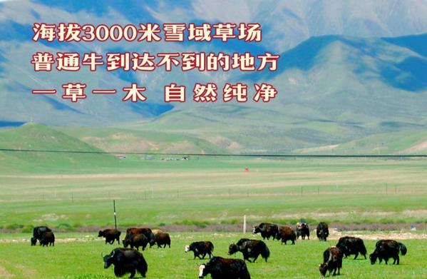 牛飄香牦?；疱? /></p><p>經(jīng)過(guò)多年的發(fā)展，水荷塘餐飲業(yè)務(wù)相繼延伸到餐飲研發(fā)、餐飲設(shè)備生產(chǎn)、餐飲項(xiàng)目連鎖經(jīng)營(yíng)、餐飲咨詢與策劃推廣服務(wù)等領(lǐng)域，集團(tuán)具有完善的生產(chǎn)體系和強(qiáng)大的綜合實(shí)力。旗下?lián)碛姓嫉?000多平方的現(xiàn)代化餐飲配送中心和大型餐飲產(chǎn)品生產(chǎn)基地。</p><p>水荷塘，以傳承原生態(tài)特色美食為己任，深度挖掘純天然、高營(yíng)養(yǎng)的特色餐飲項(xiàng)目，滿足現(xiàn)代人對(duì)于健康美味以及新奇特餐飲美食的追求。在洋快餐大行其道、本土快餐后來(lái)居上之際，店鋪林立、餐點(diǎn)遍地開花的餐飲亂象叢生，消費(fèi)者正在為如何選擇健康營(yíng)養(yǎng)美食煩惱之時(shí)，水荷塘?蒸汽石鍋魚、藏牦牛系列餐飲的閃亮登場(chǎng)，憑借其新、奇、美、靚等優(yōu)點(diǎn)，呈長(zhǎng)虹貫日之勢(shì)，令人耳目一新，令眾多飯店酒樓黯然失色!</p><p><img src=