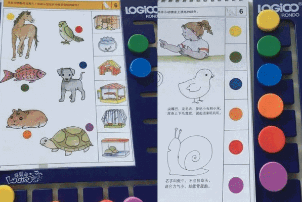 邏輯狗思維訓(xùn)練