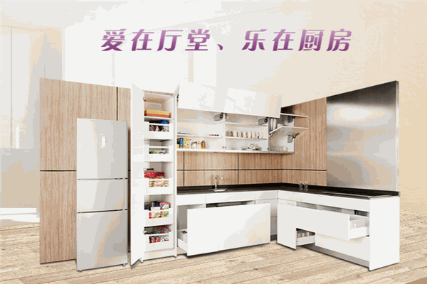 佳家樂高端定制櫥柜