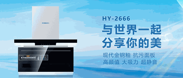 韓國(guó)現(xiàn)代廚衛(wèi)