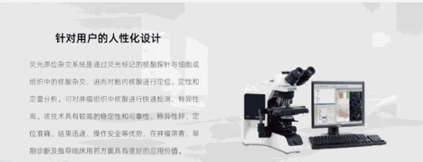 解碼DNA基因檢測