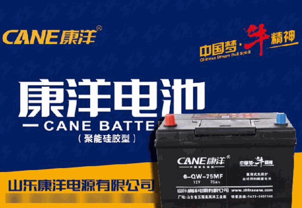 康洋電池