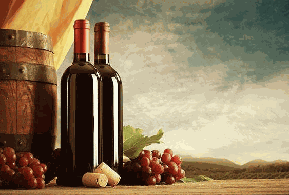 波城天使酒業(yè)