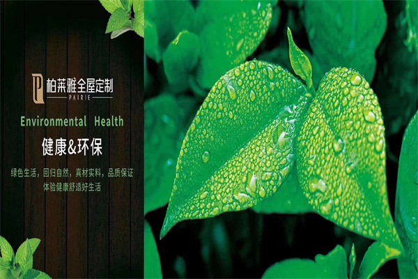 柏萊雅整體衣柜