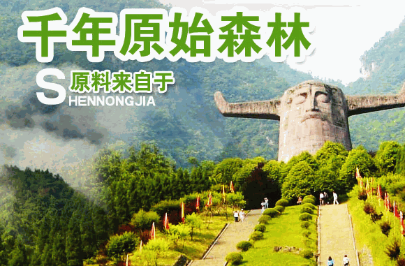 神農(nóng)保健品