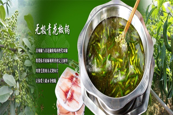 渝富順豆花魚火鍋