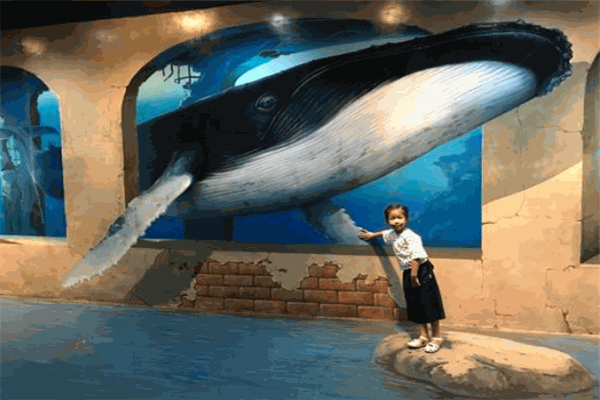 大藍鯨親子趣拍