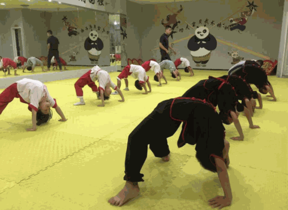 功夫?qū)氊惻嘤?xùn)