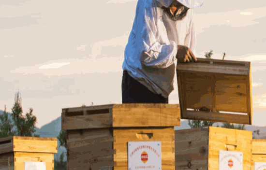 頤壽園蜂產(chǎn)品