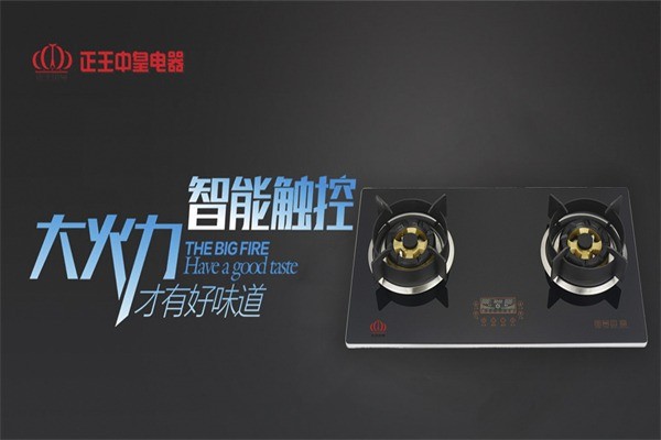 正王中皇電器