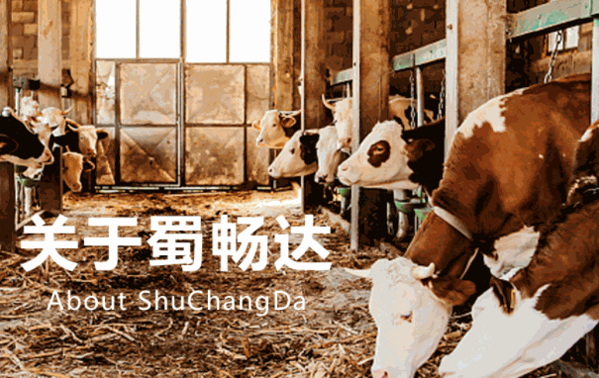 蜀暢達火鍋食材超市