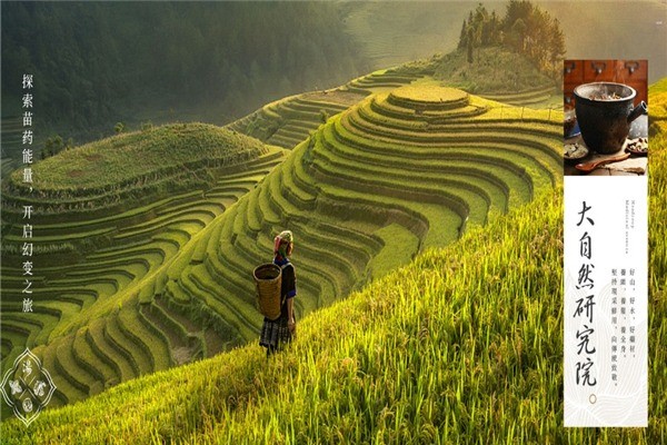 頭道湯養(yǎng)發(fā)館