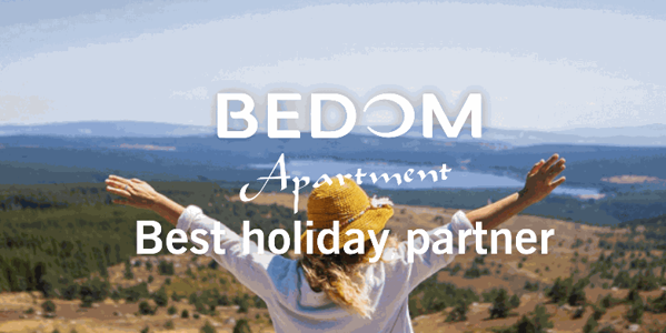 瑞普蘭頓精選酒店