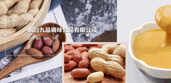 九品調(diào)味食品