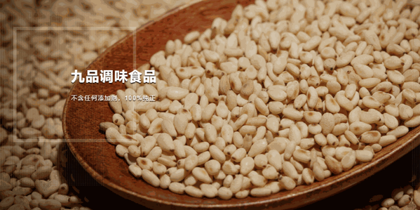 九品調(diào)味食品
