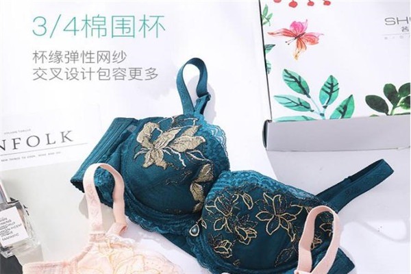 茜施爾內(nèi)衣