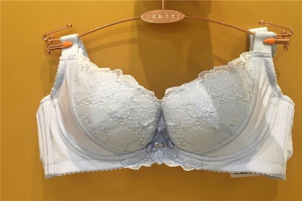 茜施爾內(nèi)衣