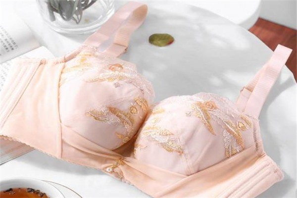 茜施爾內(nèi)衣